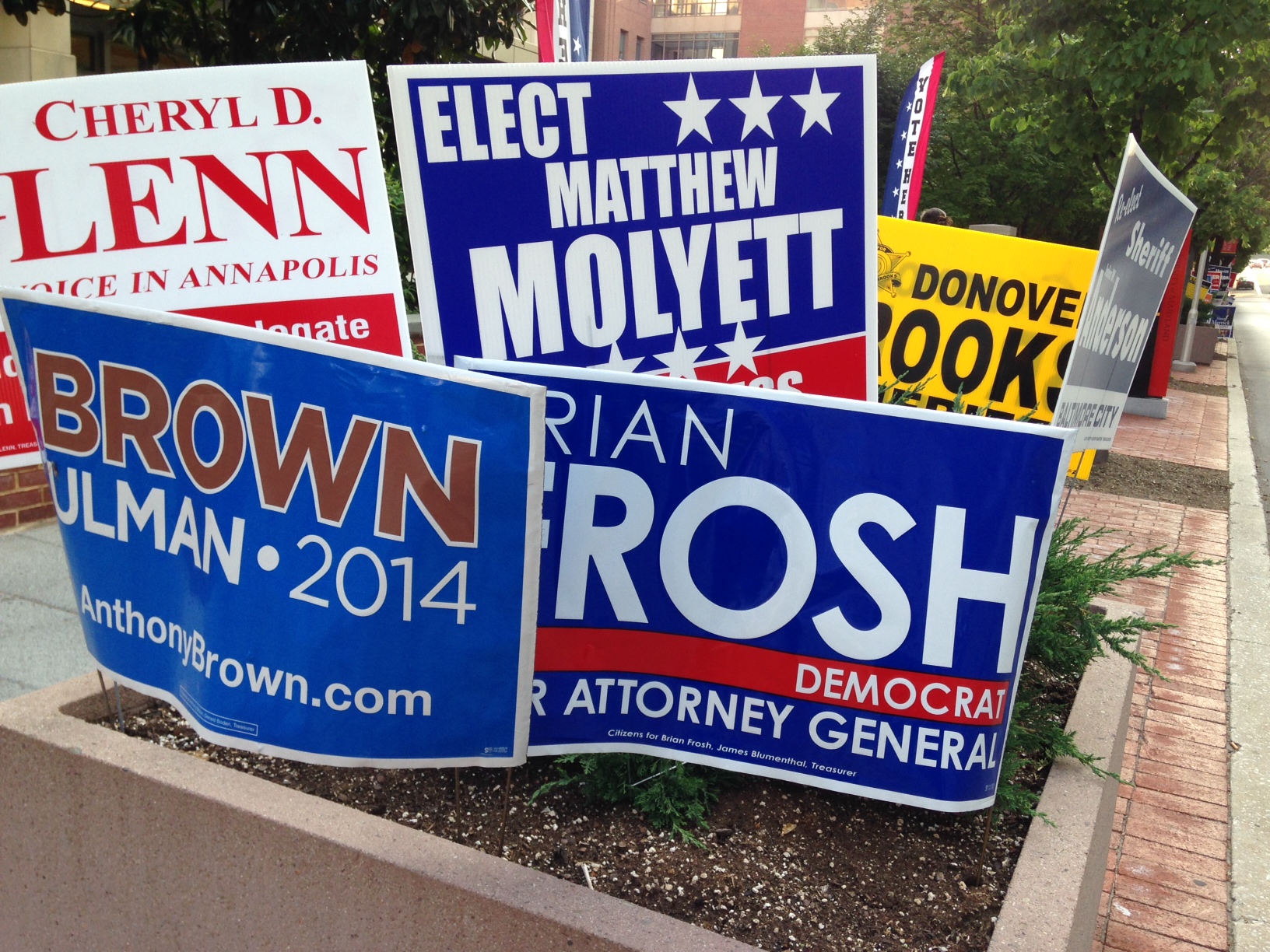 primary-election-day-is-tomorrow-24-june-2014-seton-hill