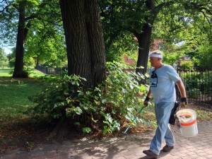 John, Seton Hill's park steward, is cleaning up St Mary's Park.