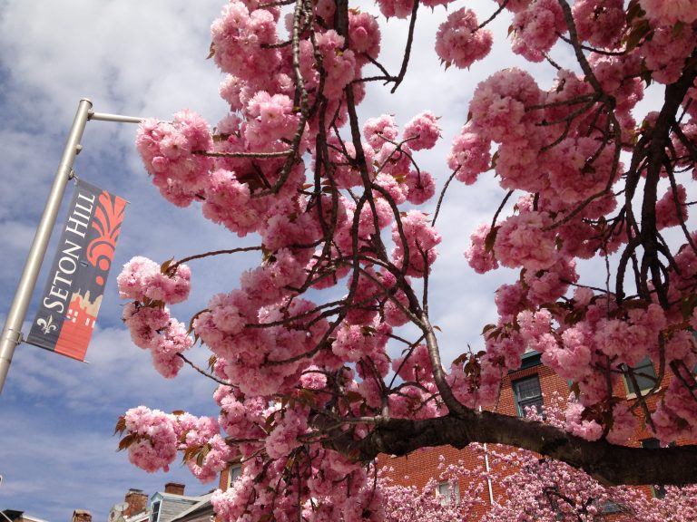 Seton Hill Newsletter
